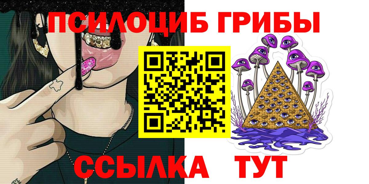 Псилоцибиновые грибы Psilocybe Керчь